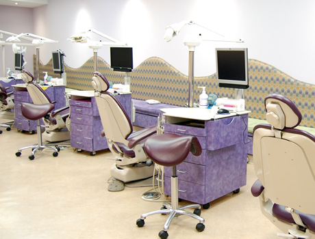 Orthodontic Bay